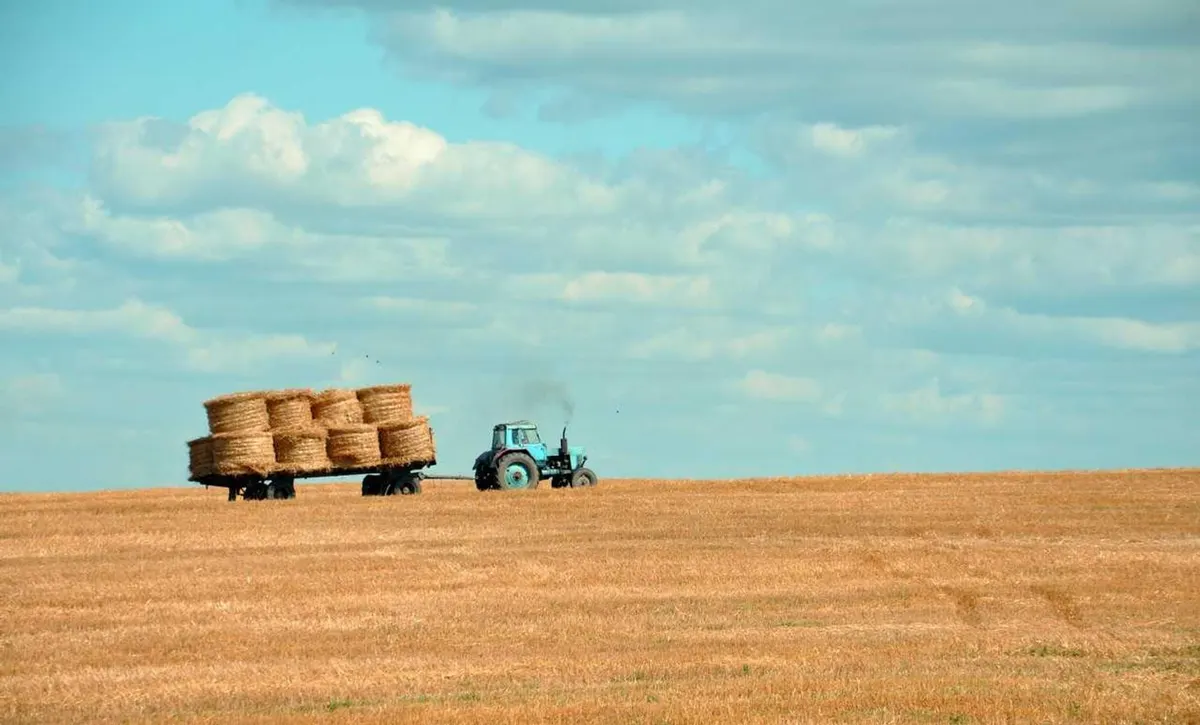 Haying season
