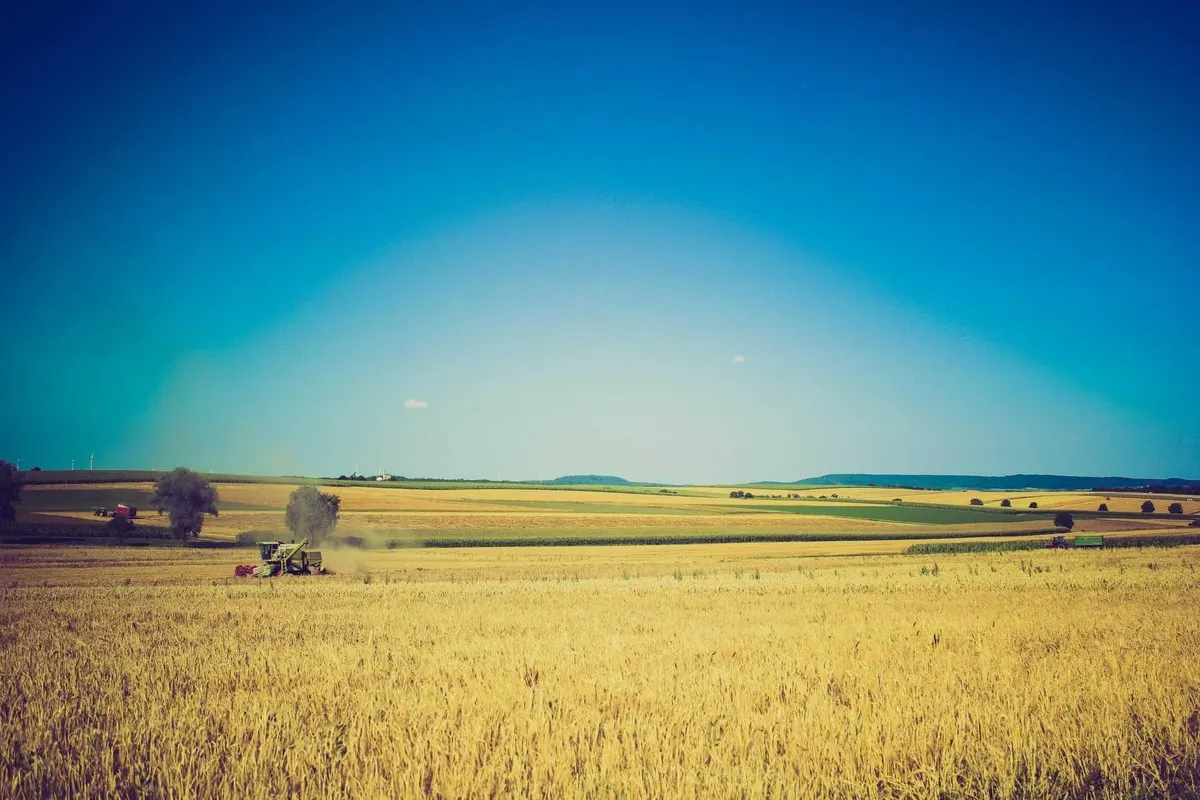 Big sky wheat country