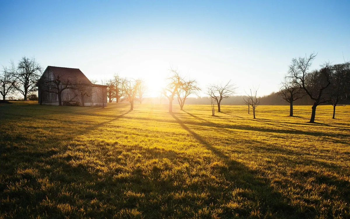 Farmhouse at golden hour